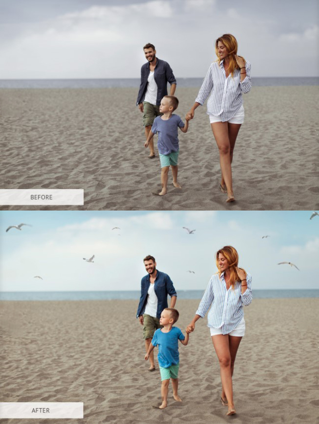 Owl And Seagull PNG Image | Owl photo overlays | Seagull photo overlays - Image 5