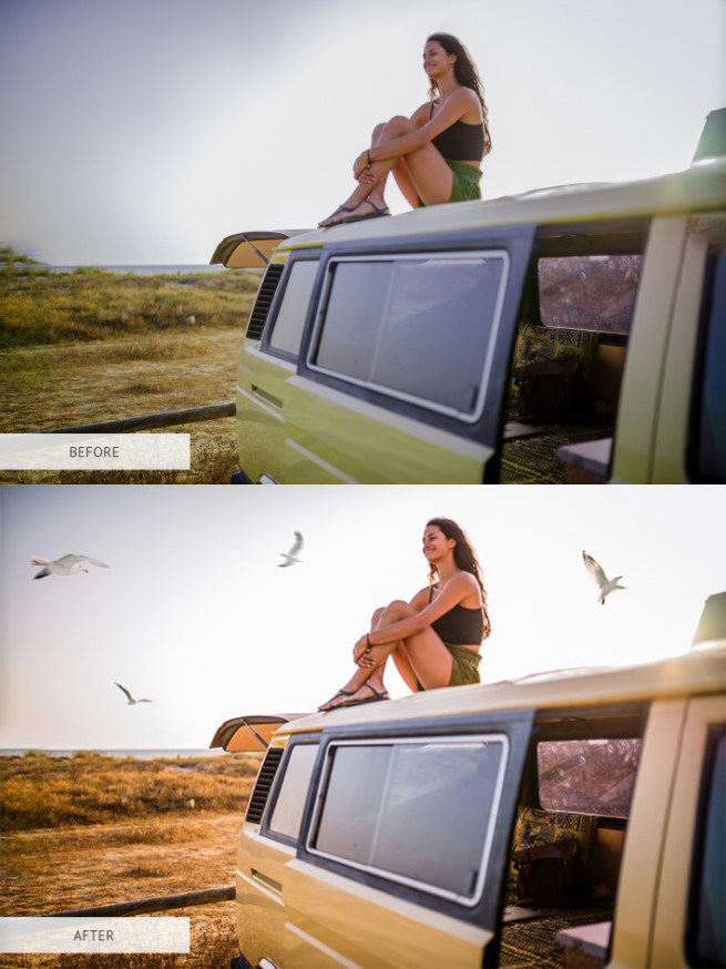 Owl And Seagull PNG Image | Owl photo overlays | Seagull photo overlays - Image 4