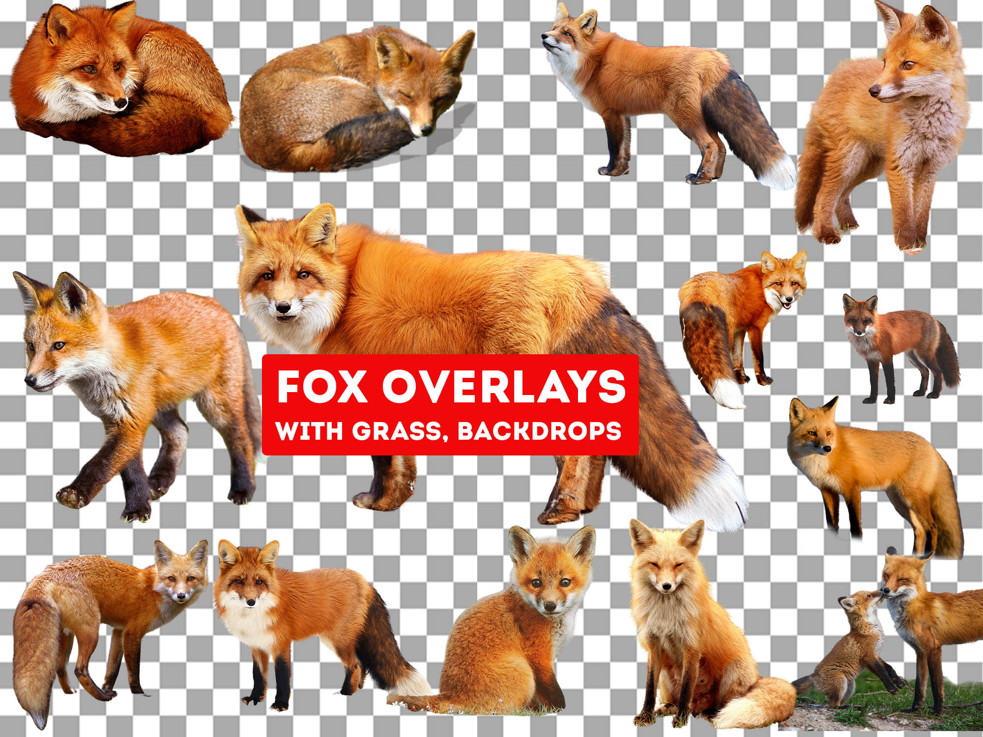 fox photo overlays